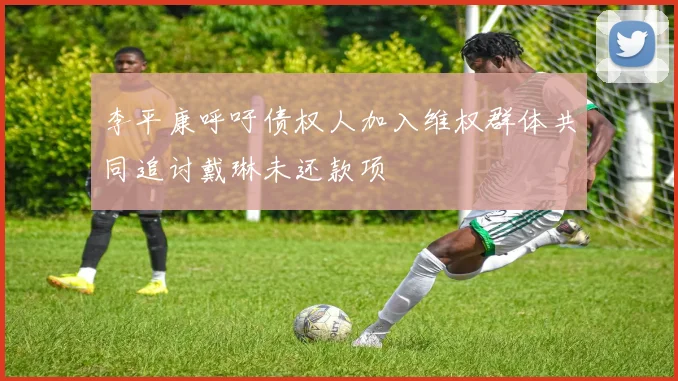 李平康呼吁债权人加入维权群体共同追讨戴琳未还款项