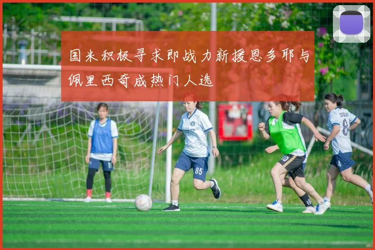 国米积极寻求即战力新援恩多耶与佩里西奇成热门人选