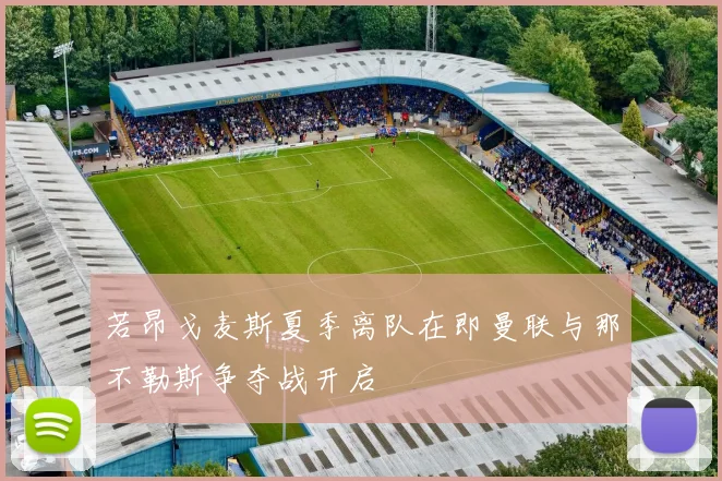 若昂戈麦斯夏季离队在即曼联与那不勒斯争夺战开启